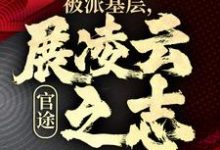 官途:被派基层,展凌云之志小说资源求分享,官途:被派基层,展凌云之志楚昊宇在线阅读-神奇文学
