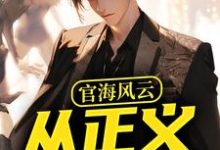 官海风云:从正义开始免费阅读(何强)小说免费读最新章节-神奇文学