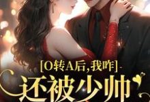 O转A后，我咋还被少帅强取豪夺了精彩章节阅读(池影霍时晏)免费阅读大结局-神奇文学