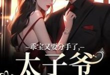 乖宝又要分手了，太子爷求贴贴小说最新章节在哪里可以免费看-神奇文学