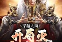 主人公是殷寿姬发的小说穿越大商，开局灭十万叛军免费阅读-神奇文学