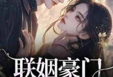 联姻豪门继承人后,我逃婚了!完结版沈心姿陆仲廷免费阅读大结局-神奇文学