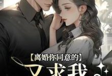 离婚你同意的,又求我复婚干什么免费阅读,沈青漓周晏辰大结局无弹窗-神奇文学