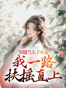 穿越当太子小妾，我一路扶摇直上精彩章节在线免费阅读（沈嫣萧逸宸）