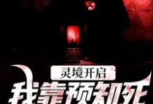 灵境开启,我靠预知死亡技能无敌小说资源求分享,灵境开启,我靠预知死亡技能无敌陈冥肖洁在线阅读-神奇文学