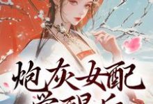 顾婉盈凤钰昭最新章节炮灰女配觉醒后:我要宫斗!免费阅读-神奇文学