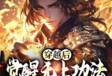 完结版穿越后,觉醒无上功法的我要复仇了在哪免费看,宋终小说在线阅读-神奇文学