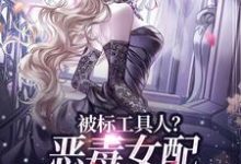 被标工具人？恶毒女配甩男主求自由免费阅读(宋以宁陆明聿)小说免费读最新章节-神奇文学