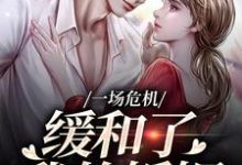 一场危机，缓和了我的婚姻完结版南迦北铮免费阅读大结局-神奇文学