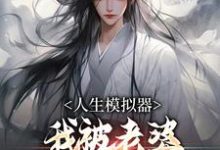 人生模拟器:我被老婆逼成世间极境完结版白棋陈北玄免费阅读大结局-神奇文学