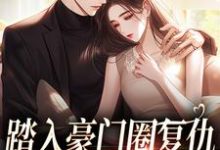 踏入豪门圈复仇，剧情却变甜宠？热门小说(王芸傅司砚)在线阅读无弹窗-神奇文学
