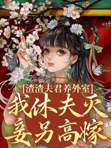 渣渣夫君养外室，我休夫灭妾另高嫁无弹窗萧时衍叶宛卿最新章节列表
