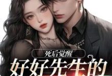 主人公是连薰晏落的小说好好先生的真实面目免费阅读-神奇文学