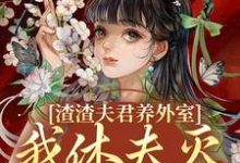 渣渣夫君养外室,我休夫灭妾另高嫁最新章节渣渣夫君养外室,我休夫灭妾另高嫁在线阅读-神奇文学