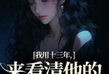 我用十三年，来看清他的真心无常最新章节我用十三年，来看清他的真心无常在线阅读-神奇文学