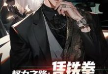 步青云王东林小说的结局在哪可以看,权力之路:凭铁拳,我令黑势力退避免费阅读完结版-神奇文学