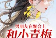 男朋友在聚会上,和小青梅吻红温了(徐乔兮贺司裴)完结版免费阅读-神奇文学