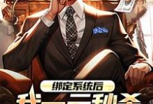 小说绑定系统后，我一元秒杀一辆奔驰主角林帆唐若冰免费阅读-神奇文学