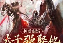 贺玥宁如颂小说的结局在哪可以看,掠爱甜婚:太子强娶她入东宫免费阅读完结版-神奇文学