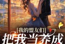 我的盟友们云苓迟盛小说免费阅读,云苓迟盛大结局无弹窗-神奇文学