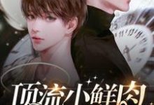 主人公是梦泽的小说顶流小鲜肉每天只想官宣免费阅读-神奇文学