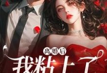 离婚后,我粘上了那位大佬免费阅读,舒愿陆骁大结局无弹窗-神奇文学