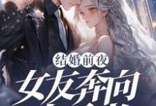 小说结婚前夜,女友奔向白月光主角秦凯免费阅读-神奇文学