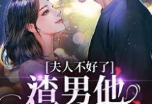 夫人不好了!渣男他要求爱精彩章节在线免费阅读(黎岁霍砚舟)-神奇文学