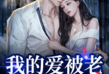 我的爱被老婆永久拉黑免费阅读,姜软软段辞大结局无弹窗-神奇文学