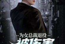 精彩章节阅读为女总裁退役被伤害,我重拾军装!(陆战苏瑾)免费小说在线看-神奇文学