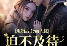 退婚后,冷面大佬迫不及待要娶我在线看,黎九霍骁小说大结局在哪免费看-神奇文学
