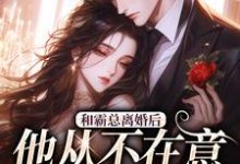 和霸总离婚后,他从不在意变求复婚(主角许烟秦冽)完结版免费阅读-神奇文学
