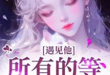 夏颜谭正东小说免费阅读最新章节列表，遇见他，所有的等待都值得小说在线看-神奇文学