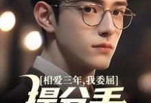 相爱三年，我委屈提分手他红了眼（主角苏清荷沈砚）完结版免费阅读-神奇文学