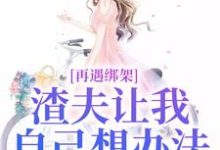 小说再遇绑架,渣夫让我自己想办法(苏夏顾帆)最新章节在哪看-神奇文学