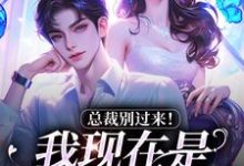 陆绾绾沈俞瑾在线阅读，总裁别过来！我现在是事业上升期小说完结版章节-神奇文学