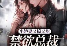小娇妻又撩又甜,禁欲总裁宠上瘾无弹窗江熹季向聿最新章节列表-神奇文学