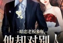 暗恋老板多年，他却对别人温柔相待大结局，顾楠裴颂忱小说无广告阅读-神奇文学