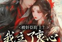 秦烟年沈知也在线阅读,被奸臣盯上?我立了衷心小弟人设!小说完结版章节-神奇文学