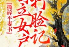 撕碎平妻书：自立女户打脸记免费阅读，孔临安薛相宜大结局无弹窗-神奇文学