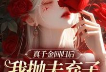 真千金回归后，我抛夫弃子独自美丽免费阅读，苏黎陆敬煊大结局无弹窗-神奇文学