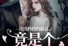 冷漠矜持的霸总，竟是个纯爱战士（宋诗予段斯昀）最新章节免费在线阅读-神奇文学