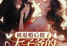 主角是陆砚昇乔曦的小说被退婚后撩了太子爷的检察官小叔在哪免费看-神奇文学