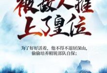 被追杀的我，被敌人推上了皇位免费阅读，夏天司马兰大结局无弹窗-神奇文学