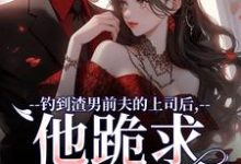 钓到渣男前夫的上司后,他跪求放过完结版苏锦萧云锋免费阅读大结局-神奇文学