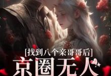 精彩章节阅读找到八个亲哥哥后,京圈无人敢惹她(叶小汐叶以辰)免费小说在线看-神奇文学