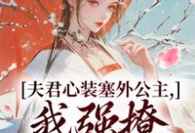 夫君心装塞外公主,我强撩也能到手完结版叶锦意萧凛渊免费阅读大结局-神奇文学