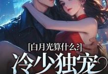 主人公是宋词慕景川的小说白月光算什么?冷少独宠拍卖师!免费阅读-神奇文学