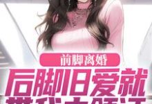 小说前脚离婚,后脚旧爱就带我去领证(陆沉苏婉清)最新章节在哪看-神奇文学