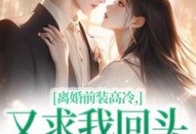 小说离婚前装高冷,又求我回头做什么(苏念封承烬)最新章节在哪看-神奇文学
